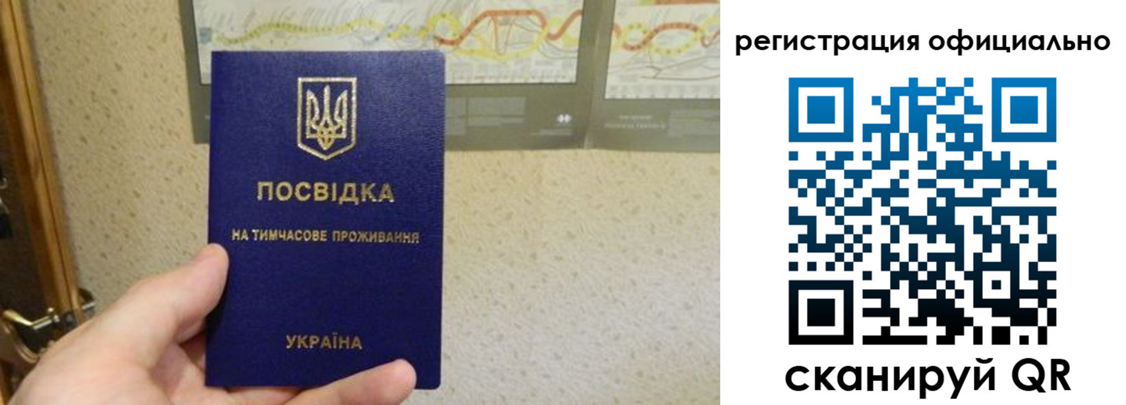 временная регистрация 2025 в Камышине